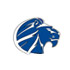 View the design for the Goddard Lions Card