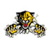 View the design for the Haven Wildcats Card